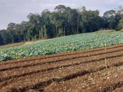 Terreno para venda em Jardim São Marcos em Itapevi São...