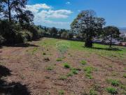 Terreno para venda em Loteamento Pinheiral De Santa...