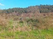 TERRENO PARA VENDA EM LOUSADA