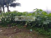 Terreno para Venda em Mairiporã, SERRA DA CANTAREIRA