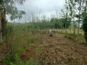 Terreno para venda Em Paredes do Bairro