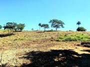 Terreno para venda em Parque Via Norte de 20000.00m²