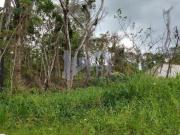 Terreno para Venda em Peruíbe, Jardim Márcia 2