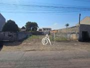 Terreno para venda em Pinheirinho de 336.00m²