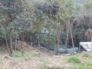 Terreno para Venda em São Paulo, Vila Nova Cachoeirinha Terreno para Venda em São Paulo, Vila Nova Cachoeirinha