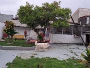 Terreno para venda em Santa Cândida de 456.00m²