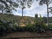 Terreno para Venda em TeresÃ³polis, Albuquerque