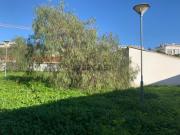 Terreno para Venda no Montijo