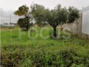 Terreno para venda ou Arrendamento Oliveirinha