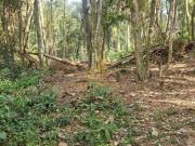 Terreno para venda, Selecione Bairro, itapecerica da serra