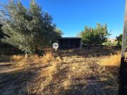 Terreno para Venda, Tinalhas, Castelo Branco
