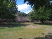 TERRENO PARA VIVIENDA, ZONA EL COYOL, VERACRUZ,VER