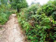 Terreno, Parada Do Bouro, Vieira do Minho | BPI Expresso...