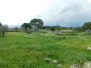 Terreno, Paranhos, Seia | BPI Expresso Imobiliário