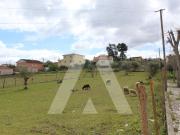 Terreno, Parceiros e Azoia, Leiria | BPI Expresso...