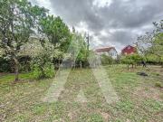 Terreno, Parceiros e Azoia, Leiria | BPI Expresso...