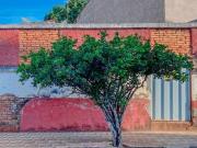 Terreno, Parque das Nações, Alfenas, MG