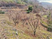Terreno, Pasaron de la Vera