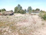 Terreno, Pedrógão de São Pedro e Bemposta, Penamacor |...