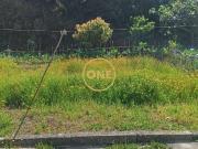 Terreno, Pedroso e Seixezelo, Vila Nova de Gaia | BPI...