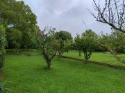 Terreno, Peñaflor, Zaragoza