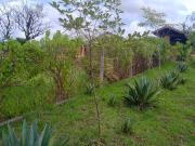 Terreno Pilar do Sul,1.030 m²,Cananéia, Sabesp, Iptu,...