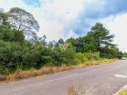 Terreno Pilarzinho Parque Tangua Curitiba