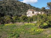 Terreno, Pinares de San Antón, Málaga