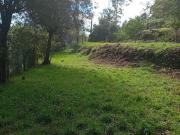 Terreno, Pinheiro Da Bemposta, Travanca e Palmaz,...