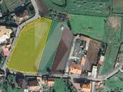 Terreno, Pinheiro Da Bemposta, Travanca e Palmaz,...