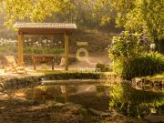 Terreno, Pinheiro Da Bemposta, Travanca e Palmaz,...