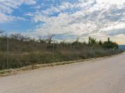 Terreno, Pinos Puente