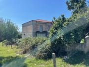 Terreno più rustico