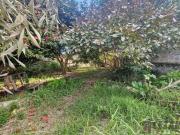 Terreno Plano à venda, 750 m² 15x50 por R$ 750.000...