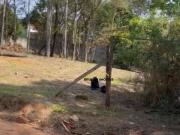 TERRENO PLANO A VENDA, 992M², R$235.000.00, CHÁCARAS...