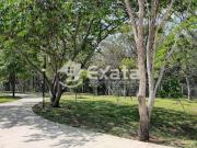Terreno plano a venda no Terras de Sao Francisco