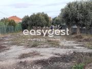 Terreno plano alcatroado para Arrendamento em...