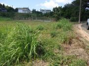 TERRENO PLANO, AO LADO DE ÁREA VERDE JARDIM DAS PALMEIRA...