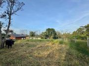 Terreno plano com vista para o nascer do sol!