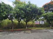 Terreno plano de 1070 m2 en venta, Jardines de Delicias,...