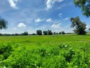Terreno plano de 5 hectáreas en Tecámac, propio para...
