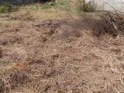 Terreno plano em Jarinu no Bairro Nova Trieste! Venha...