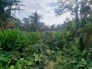 Terreno Plano em rua asfaltada em uma travessa do cascalho