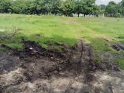 TERRENO PLANO EN EJIDOS DE ACAPATZINGO, CESION DE...