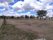 Terreno plano en los jacales