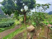 Terreno plano en venta, con vista a la montaña, en...