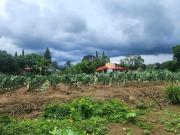 Terreno plano en venta, con vista a la montaña, en...