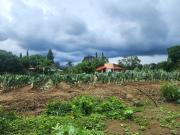 Terreno plano en venta, con vista a la monta?a, en...