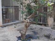 TERRENO PLANO MURADO COM EDÍCULA NOS FUNDOS À VENDA EM...