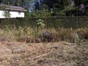 Terreno plano no Capital Ville 1